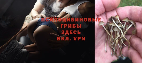 дурь Карталы