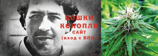 метадон Касимов